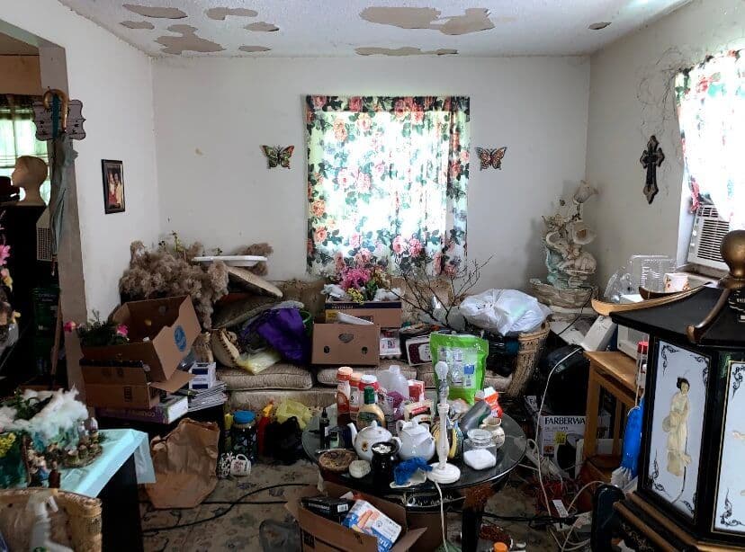 Cayuga Squatter Story-image